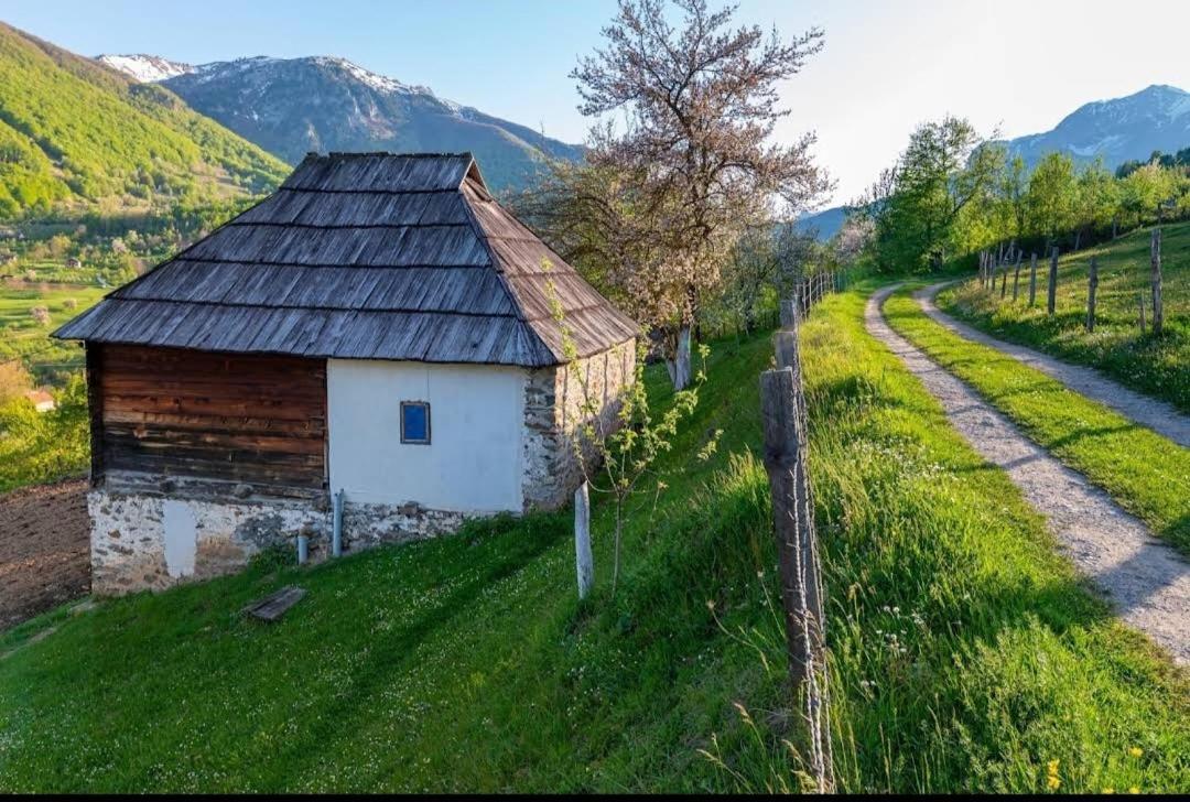 Household Babovic - Old House Miljan'S Valley Андриевица Экстерьер фото