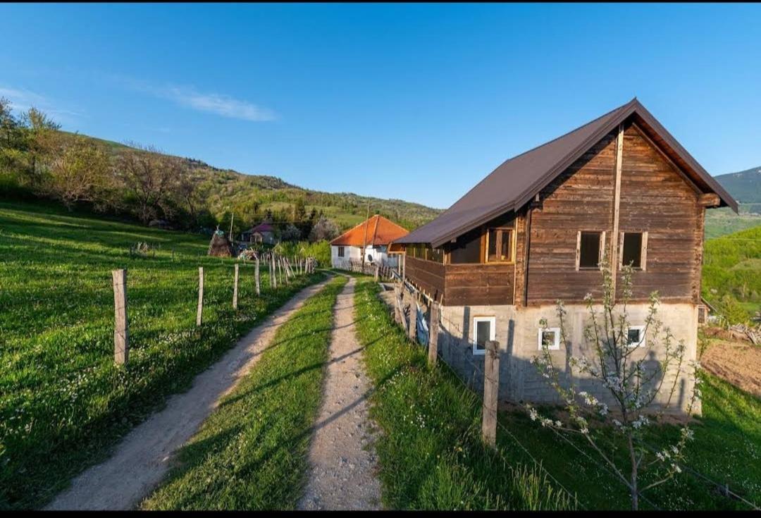 Household Babovic - Old House Miljan'S Valley Андриевица Экстерьер фото